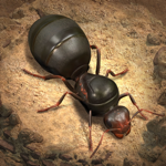 Генератор The Ants: Underground Kingdom