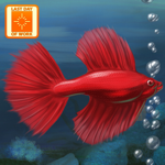 発生器 Fish Tycoon