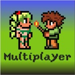 Multiplayer Terraria edition