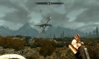 Test The Elder Scrolls V Skyrim (Nintendo Switch): the smile of the dragon