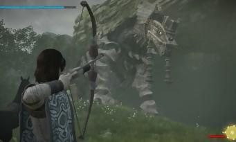 Shadow of the Colossus test (PS4): the absolute masterpiece of Fumito Ueda sublimated, transcended!