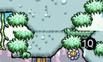 Yoshi's Island DS test