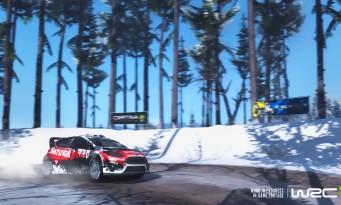 WRC 5 test: under the French flag, it's much cooler!