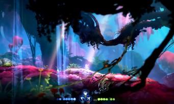 Test Ori and the Will of the Wisps: the return of the most beautiful and coolest Metroidvania!