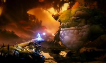 Test Ori and the Will of the Wisps: the return of the most beautiful and coolest Metroidvania!