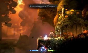 Test Ori and the Will of the Wisps: the return of the most beautiful and coolest Metroidvania!