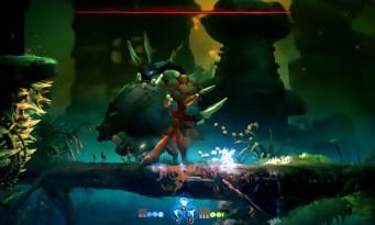 Test Ori and the Will of the Wisps: the return of the most beautiful and coolest Metroidvania!