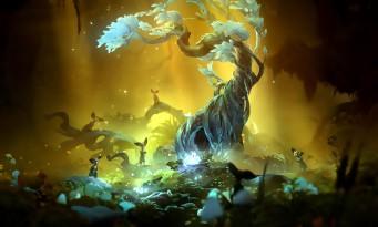 Test Ori and the Will of the Wisps: o retorno da mais bela e legal Metroidvania!