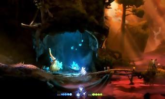 Test Ori and the Will of the Wisps: the return of the most beautiful and coolest Metroidvania!