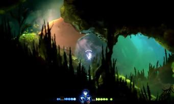 Test Ori and the Will of the Wisps: the return of the most beautiful and coolest Metroidvania!