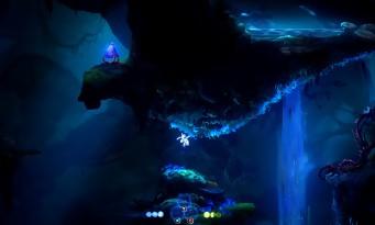 Test Ori and the Will of the Wisps: the return of the most beautiful and coolest Metroidvania!