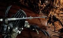 Prueba Aliens vs Predator