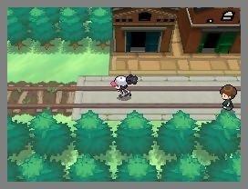 Prova Pokémon Versione Noire