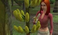 Metti alla prova The Sims: Storie di naufraghi