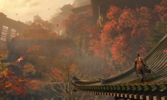 Sekiro test: the power of a Dark Souls, the finesse of a Tenchu