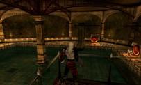 Test Blood Omen 2