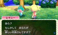 Animal Crossing New Leaf test: a kid's game?