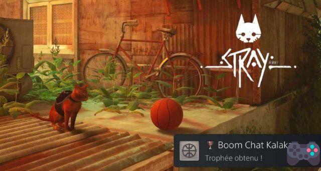 Stray tip how to unlock the Boom Chat Kalaka trophy/achievement