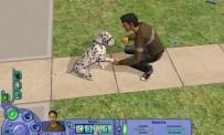 Revisa Los Sims 2: Mascotas y compañía.