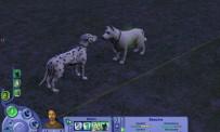 Revisa Los Sims 2: Mascotas y compañía.