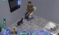 Recensione The Sims 2: Pets & Co.