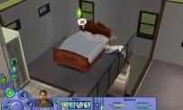Reveja The Sims 2: Pets & Co.