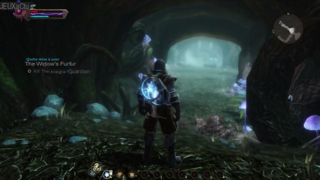 Prueba Kingdoms of Amalur Reckoning