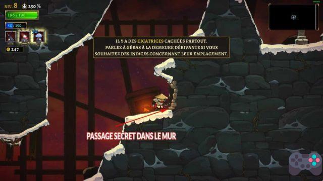 Solution for all Erebus scars puzzles from Rogue Legacy 2