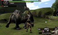 Prova Monster Hunter