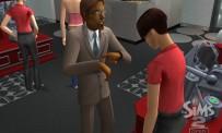 Teste do The Sims 2: O Bom Negócio