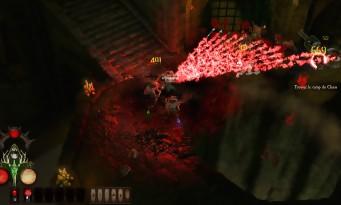 Prueba de Warhammer Chaosbane: ¿realmente puede tomar al Diablo por los cuernos?
