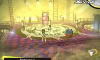 Test Persona 4