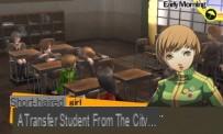 Test Persona 4