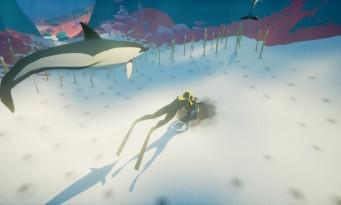 *Test* ABZÛ: il sequel spirituale di Journey arriva sano e salvo su Switch