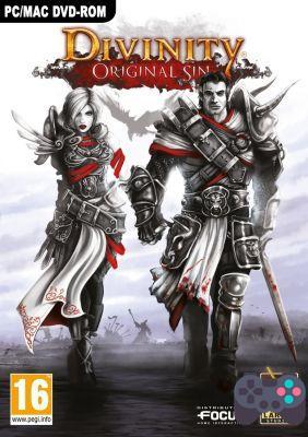 Divinity Original Sin: tips and cheat codes for the game