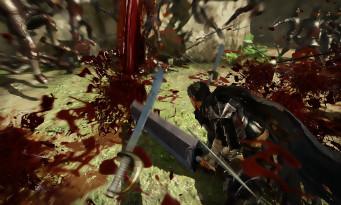 Berserk e il test Band of Hawk: tutto nei muscoli, niente nella testa