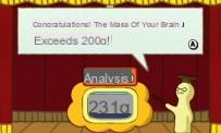 Brain Test della Wii Academy