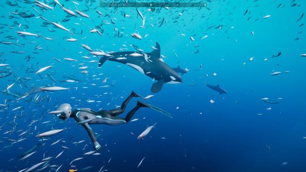 Prueba Beyond Blue: 75% juego, 25% documental, 100% big blue!