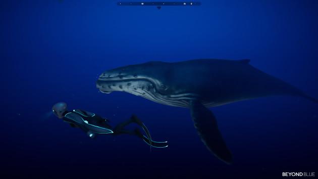 Test Beyond Blue: 75% gioco, 25% documentario, 100% big blue!