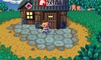 Test Animal Crossing Andiamo in città