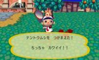 Teste Animal Crossing Vamos para a cidade