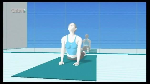 Wii Fit test