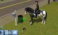 The Sims 3 Review: Pets and Company