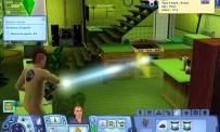 Review The Sims 3: Ambitions