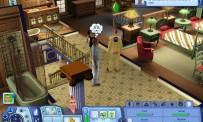 Review The Sims 3: Ambitions