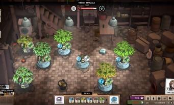 Prueba de Weedcraft Inc: ¡lo probamos y es bueno!