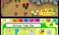 Prueba Animal Crossing DS