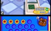 Prueba Animal Crossing DS