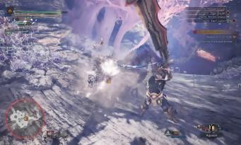 Monster Hunter World test: bigger, more beautiful, more open, renewed hunting