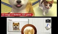 Revisão de Nintendogs + Cats: Bulldog Francês